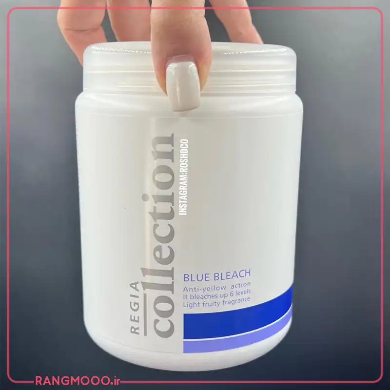 پودر دکلره ایتالیایی رجیا کالکشن اویستر