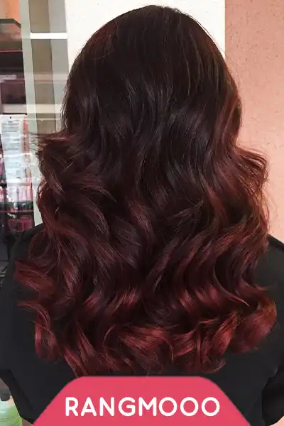 گیلاسی شکلاتی